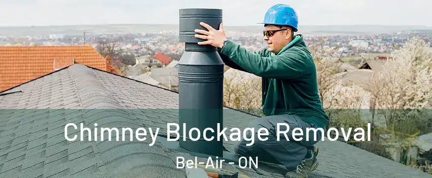  Chimney Blockage Removal Bel-Air - ON