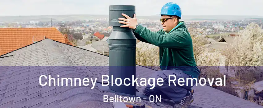  Chimney Blockage Removal Belltown - ON