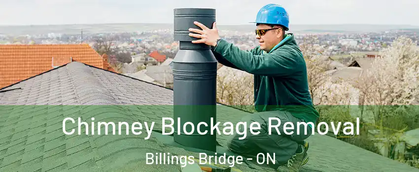  Chimney Blockage Removal Billings Bridge - ON