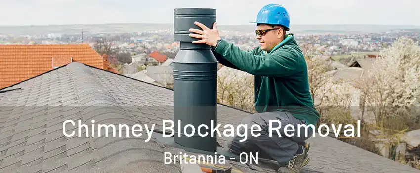  Chimney Blockage Removal Britannia - ON