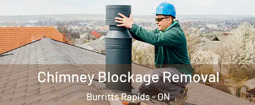  Chimney Blockage Removal Burritts Rapids - ON