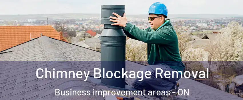  Chimney Blockage Removal Business improvement areas - ON