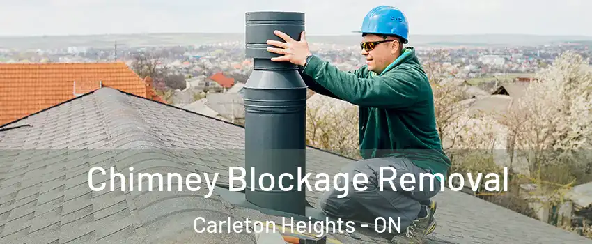  Chimney Blockage Removal Carleton Heights - ON