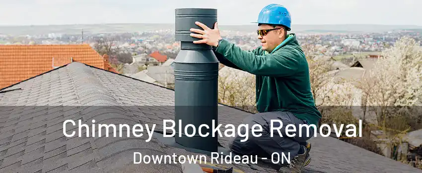  Chimney Blockage Removal Downtown Rideau - ON