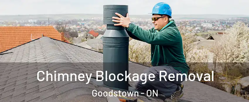  Chimney Blockage Removal Goodstown - ON