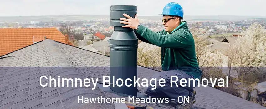  Chimney Blockage Removal Hawthorne Meadows - ON