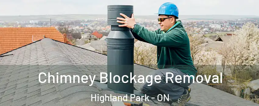  Chimney Blockage Removal Highland Park - ON