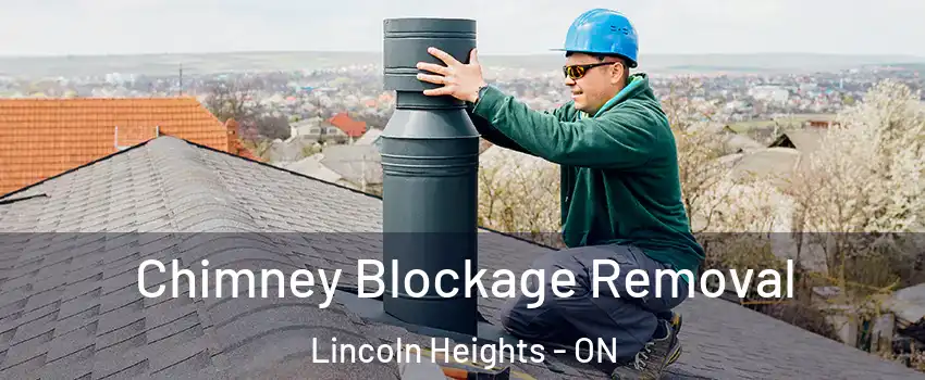  Chimney Blockage Removal Lincoln Heights - ON