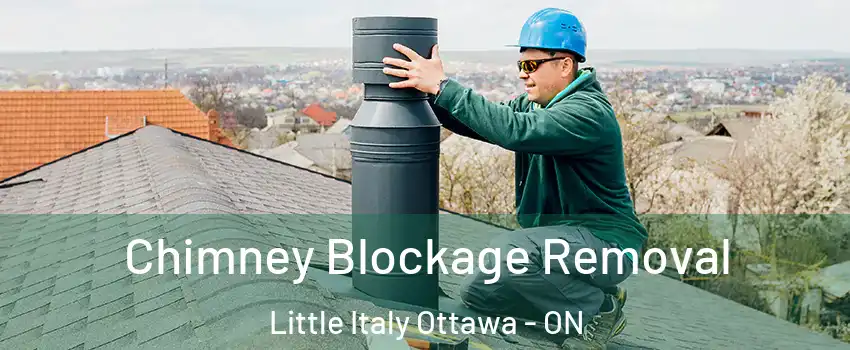  Chimney Blockage Removal Little Italy Ottawa - ON