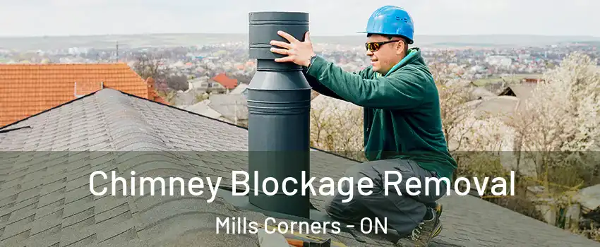  Chimney Blockage Removal Mills Corners - ON