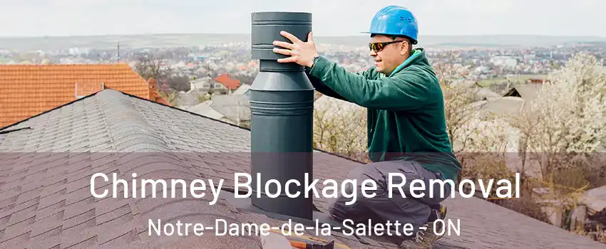  Chimney Blockage Removal Notre-Dame-de-la-Salette - ON