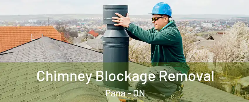  Chimney Blockage Removal Pana - ON