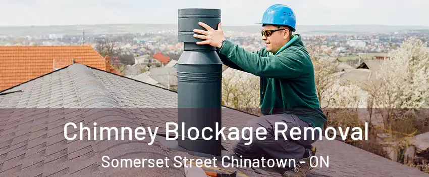  Chimney Blockage Removal Somerset Street Chinatown - ON