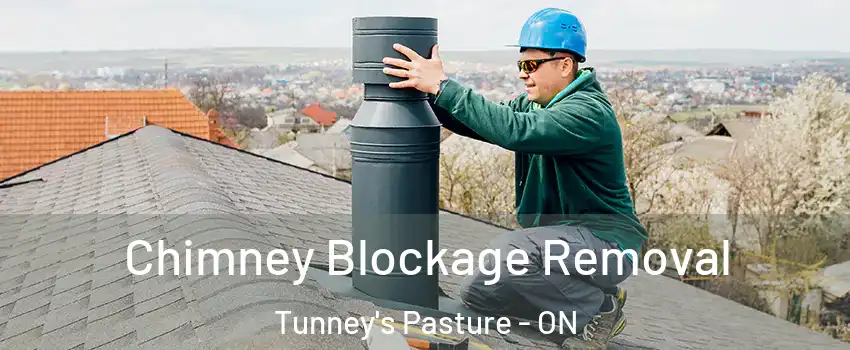  Chimney Blockage Removal Tunney's Pasture - ON