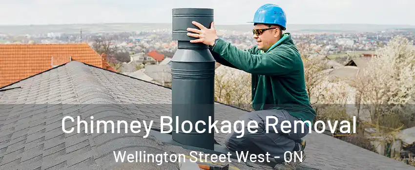  Chimney Blockage Removal Wellington Street West - ON