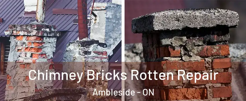  Chimney Bricks Rotten Repair Ambleside - ON