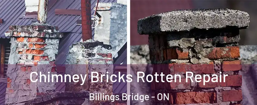  Chimney Bricks Rotten Repair Billings Bridge - ON