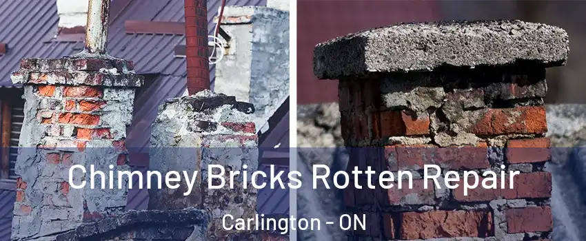  Chimney Bricks Rotten Repair Carlington - ON