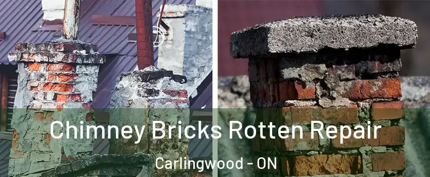  Chimney Bricks Rotten Repair Carlingwood - ON