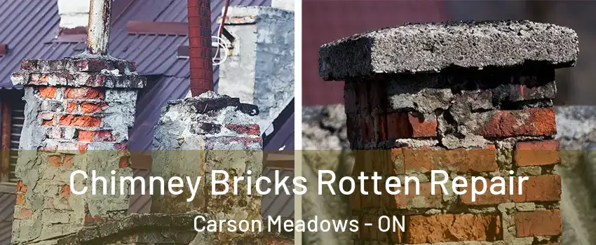  Chimney Bricks Rotten Repair Carson Meadows - ON