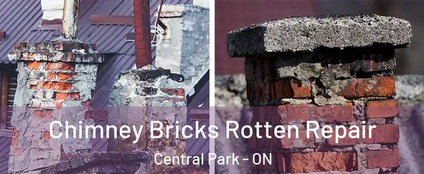  Chimney Bricks Rotten Repair Central Park - ON