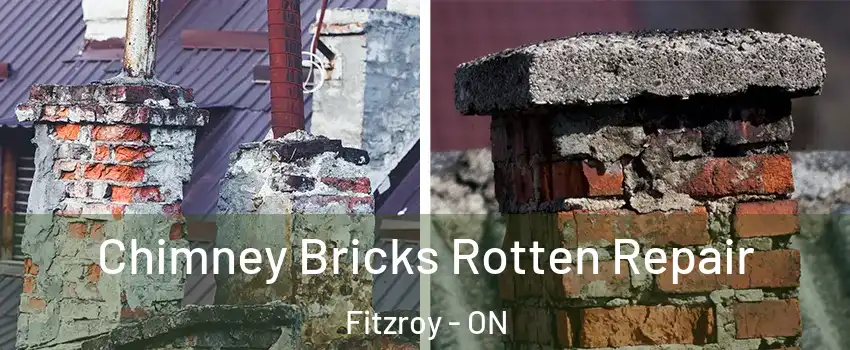  Chimney Bricks Rotten Repair Fitzroy - ON