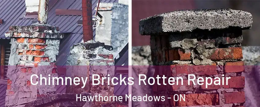  Chimney Bricks Rotten Repair Hawthorne Meadows - ON