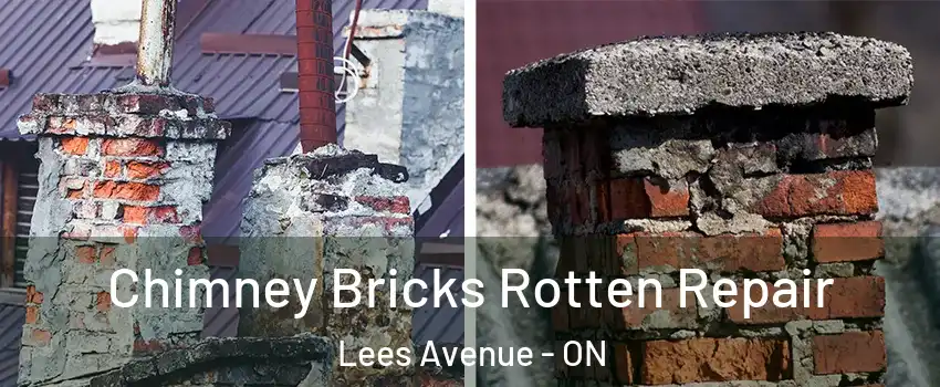  Chimney Bricks Rotten Repair Lees Avenue - ON