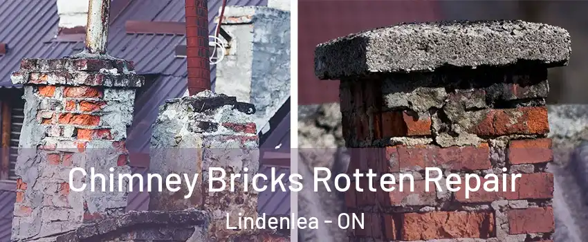  Chimney Bricks Rotten Repair Lindenlea - ON