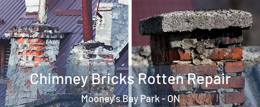  Chimney Bricks Rotten Repair Mooney's Bay Park - ON