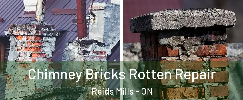  Chimney Bricks Rotten Repair Reids Mills - ON