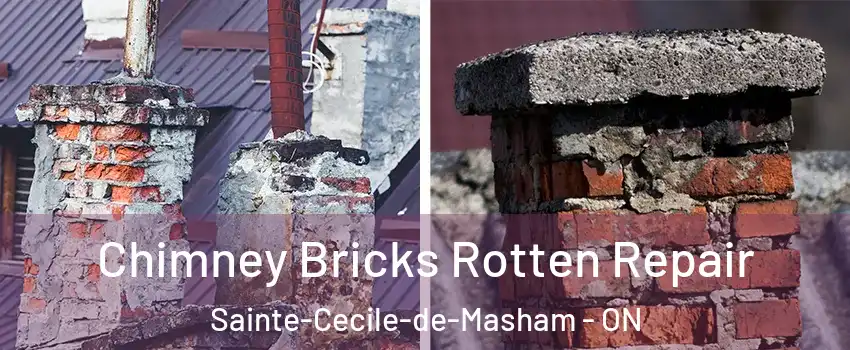  Chimney Bricks Rotten Repair Sainte-Cecile-de-Masham - ON