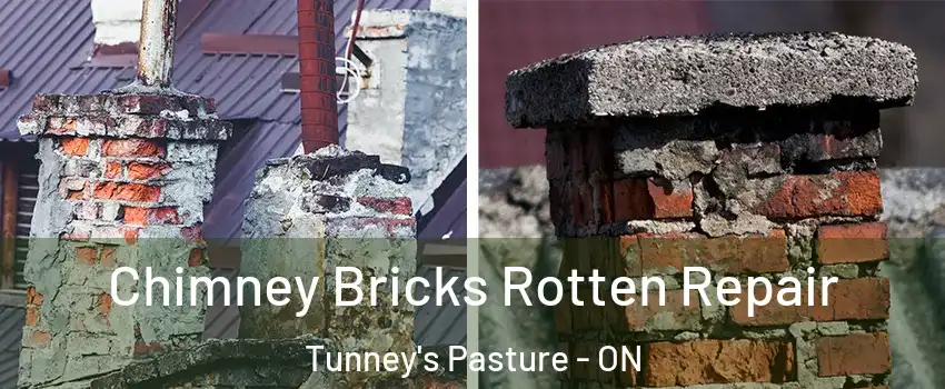  Chimney Bricks Rotten Repair Tunney's Pasture - ON