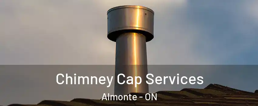  Chimney Cap Services Almonte - ON