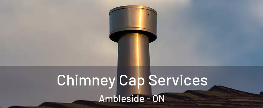  Chimney Cap Services Ambleside - ON