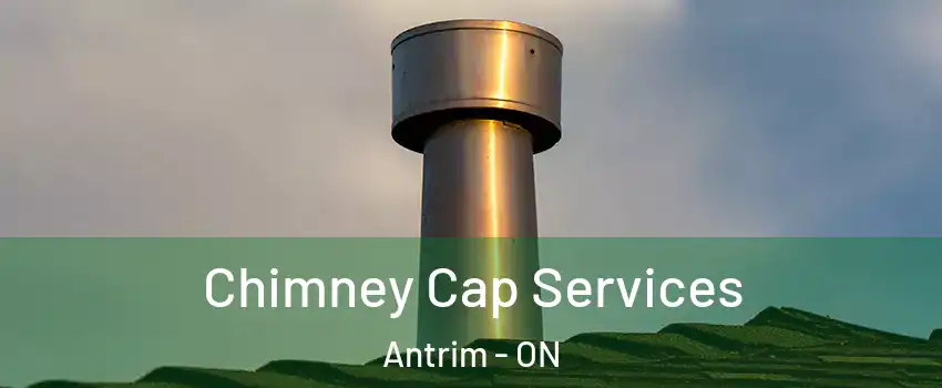  Chimney Cap Services Antrim - ON