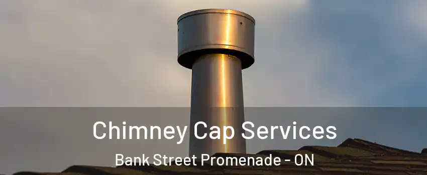  Chimney Cap Services Bank Street Promenade - ON