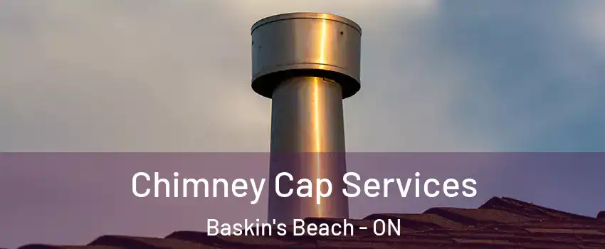  Chimney Cap Services Baskin's Beach - ON