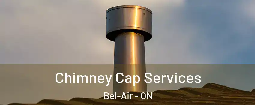  Chimney Cap Services Bel-Air - ON