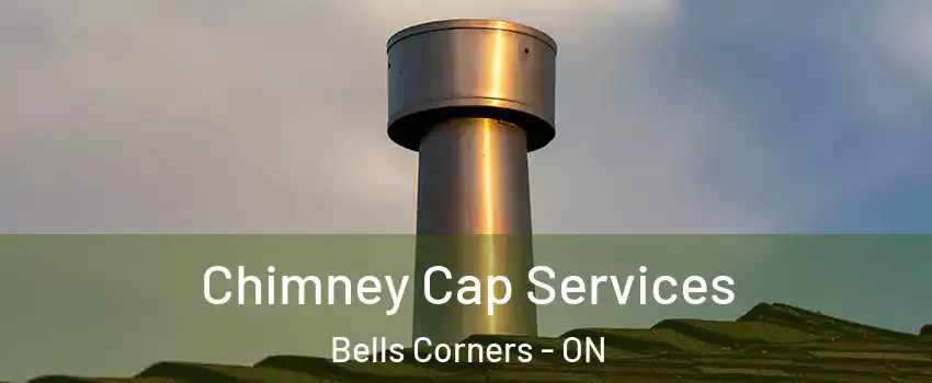  Chimney Cap Services Bells Corners - ON