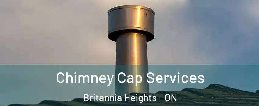  Chimney Cap Services Britannia Heights - ON