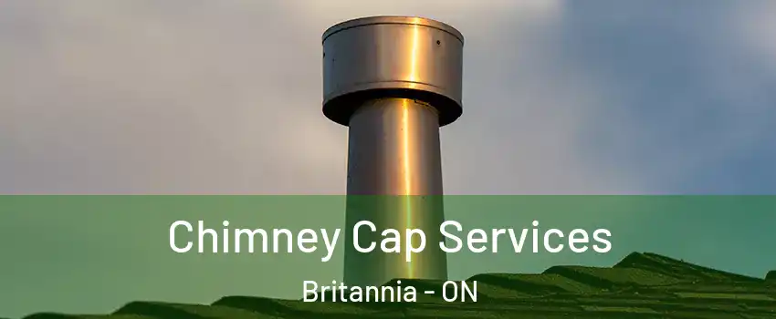  Chimney Cap Services Britannia - ON