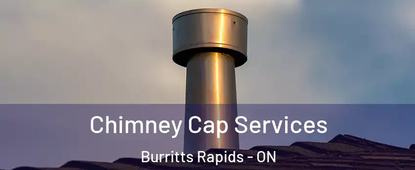  Chimney Cap Services Burritts Rapids - ON