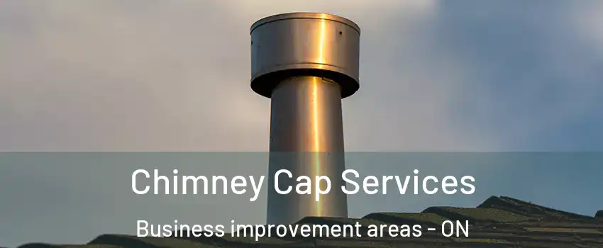  Chimney Cap Services Business improvement areas - ON