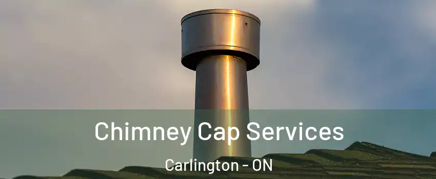  Chimney Cap Services Carlington - ON