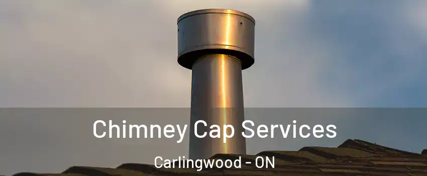  Chimney Cap Services Carlingwood - ON