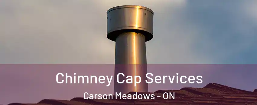  Chimney Cap Services Carson Meadows - ON