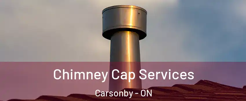  Chimney Cap Services Carsonby - ON