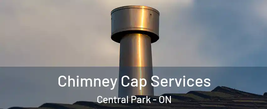  Chimney Cap Services Central Park - ON