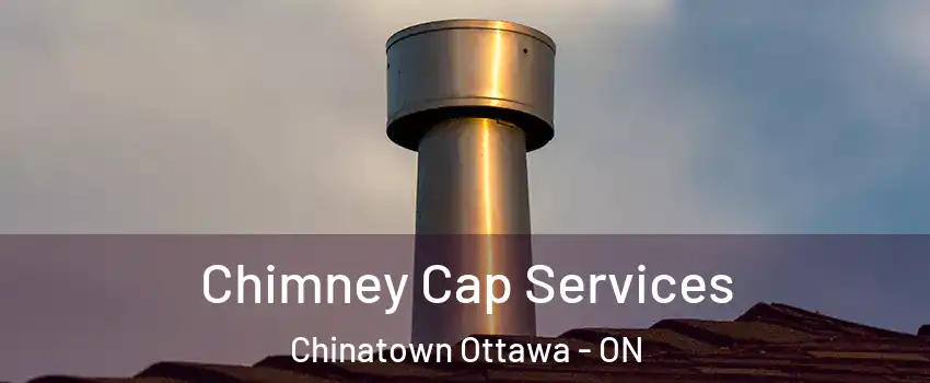  Chimney Cap Services Chinatown Ottawa - ON